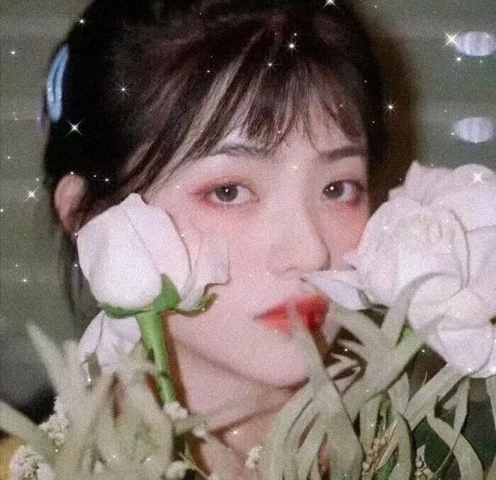 傲娇与偏见